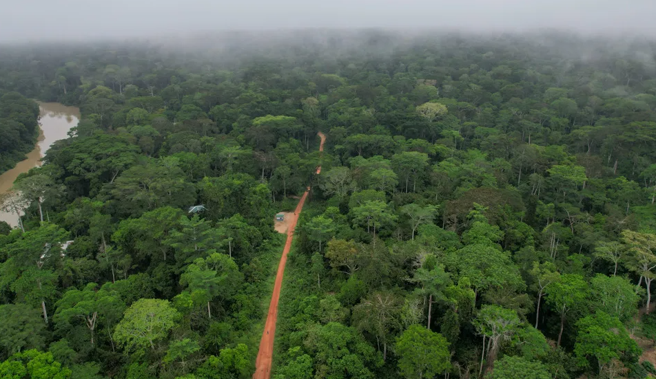 Ngoto Forest, Southwest CAR, Central African Republic
